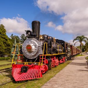 PASSEIO DE TREM MARIA FUMAÇA